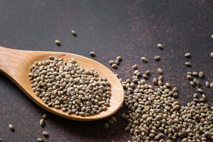 Organic Hemp_Seeds | Tukhum Qinab | Bhang Seeds.