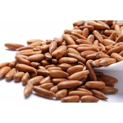 Pine Nut - Chalghoza - Fresh Quality Chilgoza.